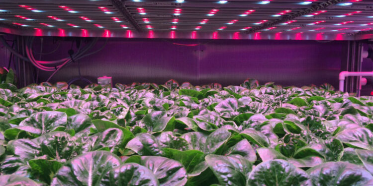 How-3D-Printing-Is-Changing-The-Future-Of-Agriculture-agrotechdaily