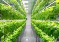 Indoor-and-vertical-farming-systems-agrotechdaily