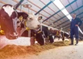 Livestock-Management-and-Monitoring-agrotechdaily