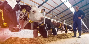 Livestock-Management-and-Monitoring-agrotechdaily