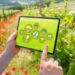 Precision-agriculture-and-data-driven-farming-agrotechdaily