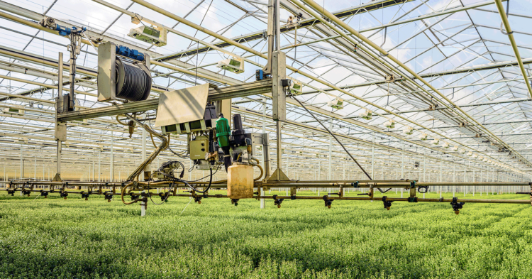 Smart-greenhouses-and-controlled-environment-agriculture-agrotechdaily