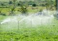 Smart-irrigation-systems-and-water-management-agrotechdaily
