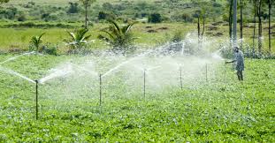 Smart-irrigation-systems-and-water-management-agrotechdaily