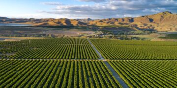 Sustainable-Agricultural-Practices-agrotechdaily