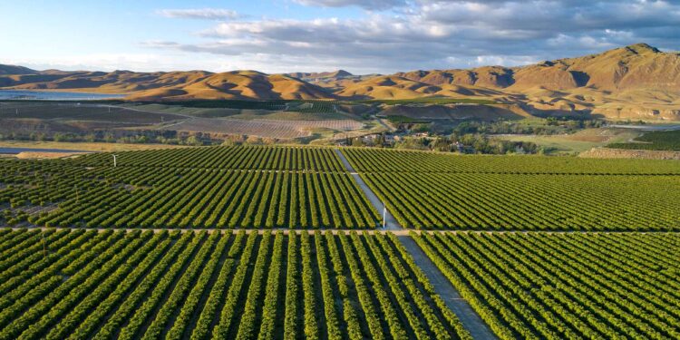 Sustainable-Agricultural-Practices-agrotechdaily