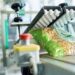 The-future-of-food-packaging-and-packaging-technology-agrotechdaily