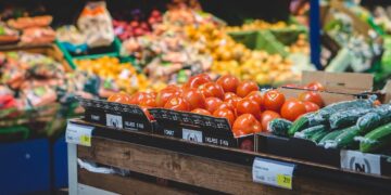 The-future-of-food production-and-distribution-agrotechdaily