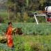The-impact-of-technology-on-farm labor-and-employment-agrotechdaily