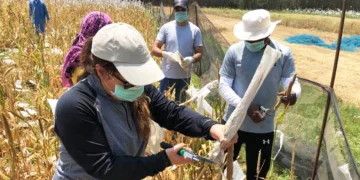 pandemic-on-agriculture-and-food-production-agrotechdaily