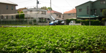 The-impact-of-urbanization-on-agriculture-and-rural-communities-agrotechdaily