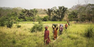 The-role-of-technology-in-mitigating-the-effects-of-natural-disasters-on-agriculture-agrotechdaily
