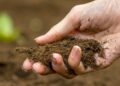 The-use-of-technology-in-improving-soil health-and-fertility-agrotechdaily