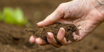 The-use-of-technology-in-improving-soil health-and-fertility-agrotechdaily