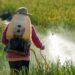 The-role-of-technology-in-reducing-pesticide-use-agrotechdaily