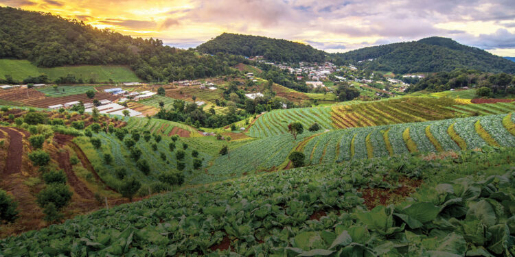 The-impact-of-technology-on-crop yields-and-food-security-agrotechdaily