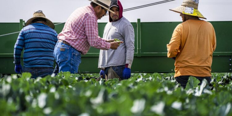 trade-policies-on-agriculture-agrotechdaily