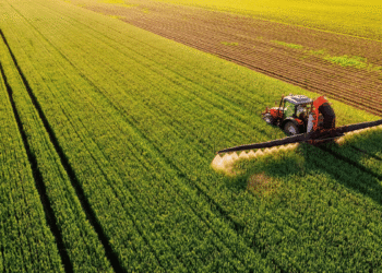 Agricultural Finance and Investment Trends