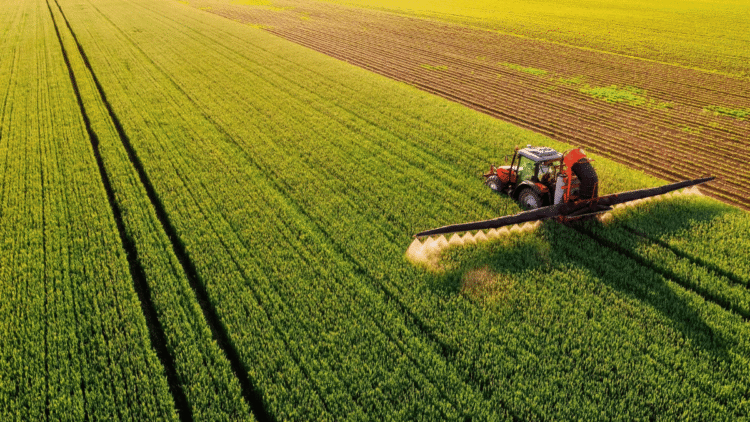 Agricultural Finance and Investment Trends