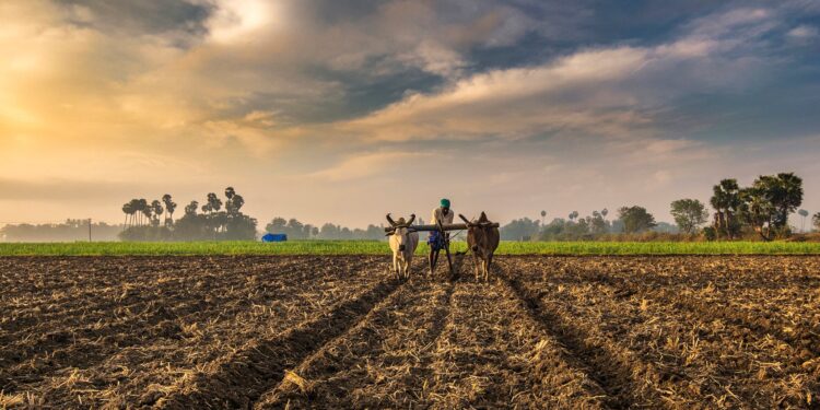 How-to-use-social-media-to-promote-your-farm-or-agriculture-related-business-theagrotechdaily