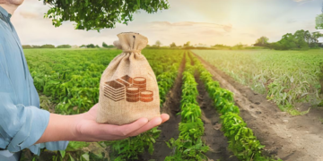 the-role-of-agricultural-cooperatives