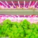 The-Benefits-And-Challenges-Of-Vertical-Farming-And-How-This-Technology-Is-Being-Used-To-Grow Crops-In-Urban-Environments-theagrotechdaily