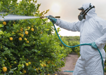 The best practices for managing pests and disease in crops, including organic and conventional methods