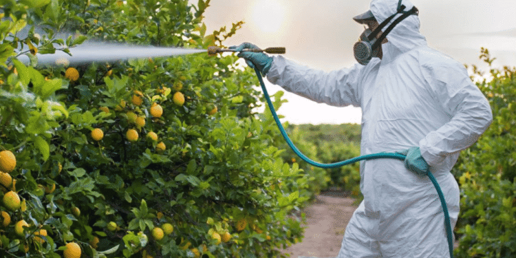 The best practices for managing pests and disease in crops, including organic and conventional methods