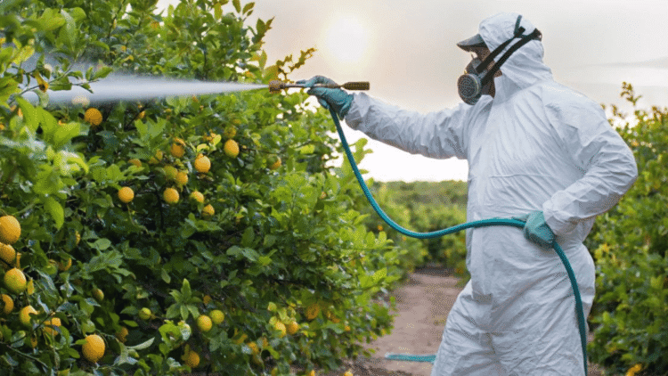 The best practices for managing pests and disease in crops, including organic and conventional methods