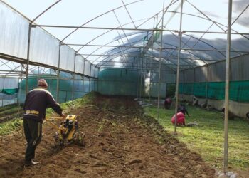 The-challenges-and-benefits-of-transitioning-to-organic-farming-and-how-to-make-the-switch-successfully-theagrotechdaily