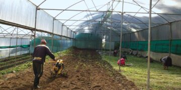 The-challenges-and-benefits-of-transitioning-to-organic-farming-and-how-to-make-the-switch-successfully-theagrotechdaily