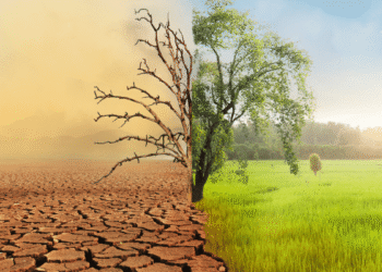 The impact of climate change on agriculture, and how farmers can adapt to changing weather patterns