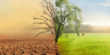 The impact of climate change on agriculture, and how farmers can adapt to changing weather patterns