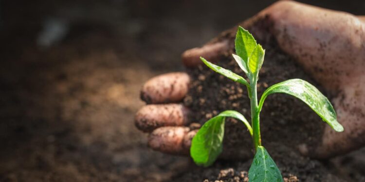 The-importance-of-soil-health-and-how-to-maintain-healthy-soil-on-your-farmtheagrotechdaily