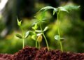 The-latest-advances-in-biotechnology-and-how-they-are-revolutionizing-the-way-we-grow-and-harvest-crops-theagrotechdaily