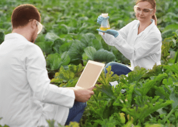 The latest breakthroughs in agricultural research, and how they could impact the future of farming