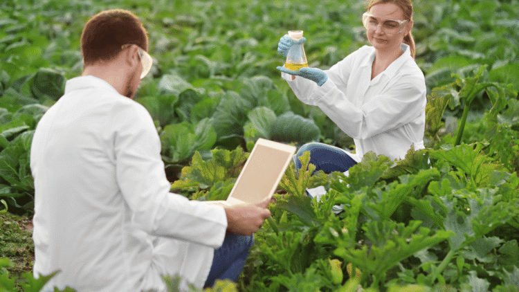 The latest breakthroughs in agricultural research, and how they could impact the future of farming