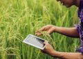 The-role-of-precision-farming-in-increasing-yields-and-reducing-waste-theagrotechdaily
