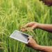 The-role-of-precision-farming-in-increasing-yields-and-reducing-waste-theagrotechdaily
