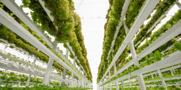 Innovations in Vertical Farming and Sustainable Urban Agriculture