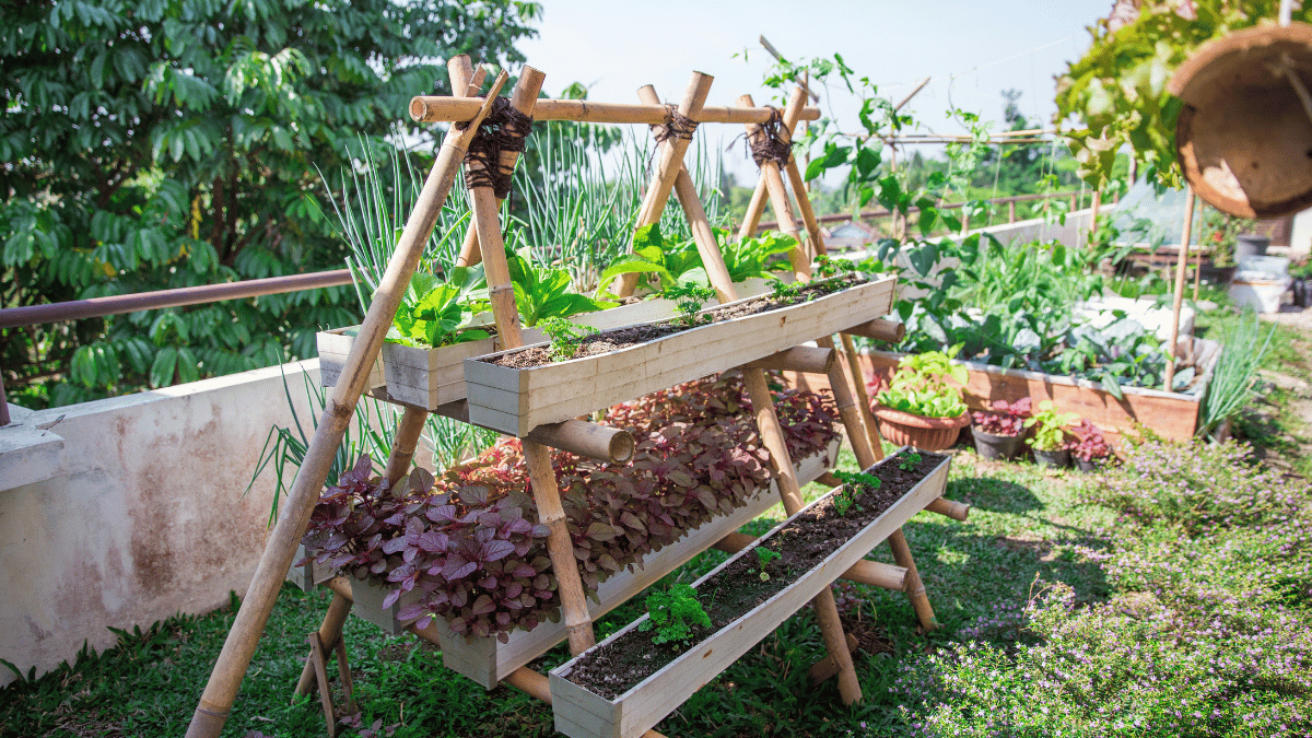 Innovations in Vertical Farming and Sustainable Urban Agriculture – The ...
