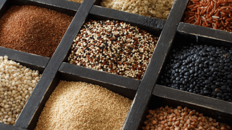 Millets A Sustainable Choice for Eco-Conscious Eating
