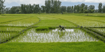 Agri-Tech Revolution: India’s Agriculture Post-2020 Pandemic