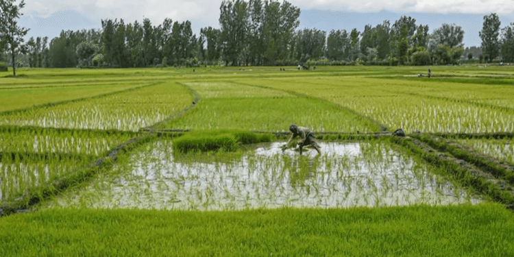 Agri-Tech Revolution: India’s Agriculture Post-2020 Pandemic