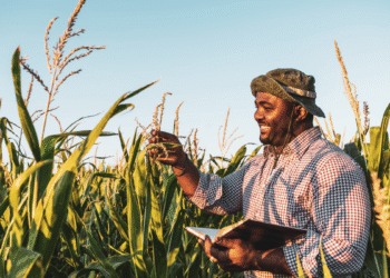 Navigating Agricultural Trade Policies 2023 Guiding Farmers Forward2