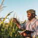 Navigating Agricultural Trade Policies 2023 Guiding Farmers Forward2