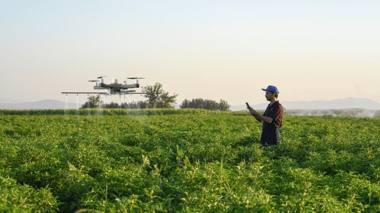 Navigating Drones in Farming Balancing Advantages and Drawbacks
