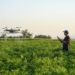 Navigating Drones in Farming Balancing Advantages and Drawbacks