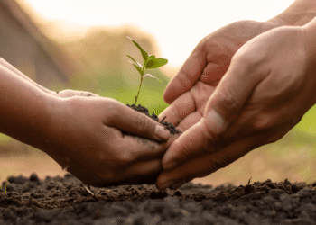 Nurturing Growth in Agribusiness 10 High-Potential Ventures