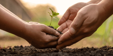 Nurturing Growth in Agribusiness 10 High-Potential Ventures